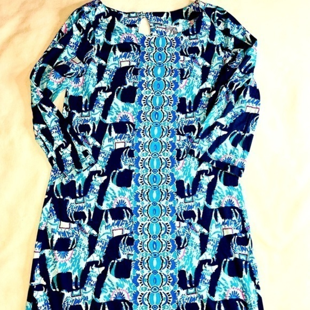 Lilly Pulitzer Dress